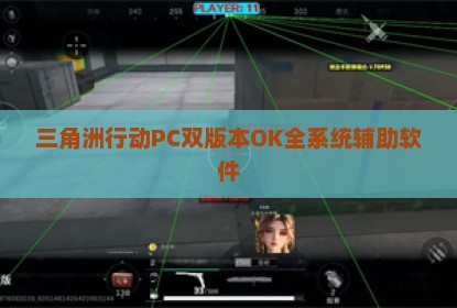三角洲行动PC双版本OK全系统辅助软件