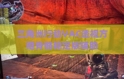 三角洲行动VAC透视方框骨骼稳定版辅助